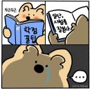 6월[2]::하이포 면탈🔥 | 공대생 3학년의 기말준비 | 계절 6학점 | 체험단 시작💪🏻