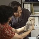 내가 날 울리던 모든 밤, 기억을 다르게 채워 가