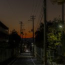 물수제비 | 에이칸도 라이트업, 철학의 길 교토 뒤늦은 레전드 혼자 단풍 구경 후기.