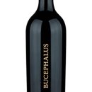 부케팔로스 이미지