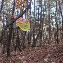 녹전로(녹전면) 이미지