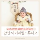아이라임스튜디오 이미지