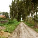 주식회사 이루고 이미지