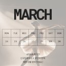 성라초교길 네이버블로그