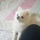 갤러리무인텔 이미지