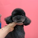 양파살롱 이미지