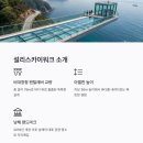 설리 스카이워크 이미지