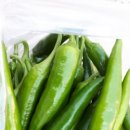 애정농장 이미지