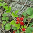 산천농장 이미지