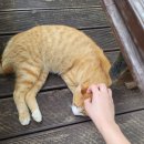 무주읍213 | [220729~0731] 여름방학