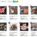 탑월드 홈파티스 스튜디오 관저점 | 대전광역시 서구 계백로 등. 건강기능식품 일반판매기업 목록