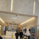 탐모라 수영장 | 제주도 신화월드 서머셋과 탐모라 수영장