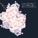 꽃다운스튜디오