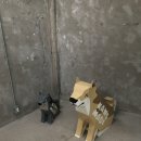 성수 휴먼메이드 HUMAN MADE 오프라인 스토어 방문 후기 및 일본 가격 비교 , 웨이팅 없이 들어가기