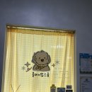 올데이멍 이미지