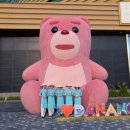 벨리버튼 이미지