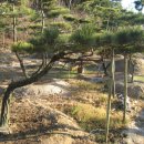 노고단-15 이미지