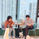 공독 | 서창동 애견카페ㅣ리치독 인천실내애견카페 후기