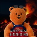 기린여행사(주) | 베트남 푸꾸옥 | 신짜오 (동방항공, 베스트웨스턴 소나시, 사파리 얼티메이트 투어)
