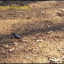 위례둘레길 이미지