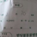 반딧불 동물병원 이미지