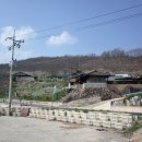 일월주유소 이미지