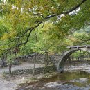 여수소라우체국 이미지