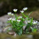 사기막골(2) 이미지