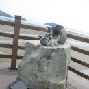 소라면 장척 이미지