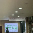 청주 성안길 돼지양념구이 맛집 백로식당 후기(본점 방문)