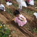 강구초등학교병설유치원 이미지