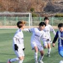 생초체육공원 축구장 이미지