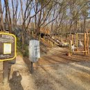 노원골유아숲 이미지