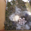 백운면 2397 이미지