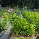 이경숙농장 이미지