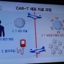 7CAR 이미지