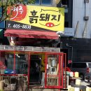 제주흙돼지 이미지
