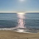 하늘테라스관광펜션 | 프렌치페이퍼펜션 울진 후포해변 오션뷰 풀빌라에서 낭만적인 하루