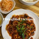 뽕빨낙지 | 강원도 속초 뽕빨낙지 속초아이 주변 맛집 직화낙지볶음 전문점 보통맛