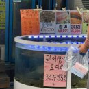 파란집 | 강릉 중앙시장 회 포장 전문점 중앙시장횟집 파란간판집 솔직후기