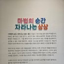 연제구복합문화센터 전시실(추가) | 곳]마법의 순간, 자라나는 상상 전시 후기(동탄복합문화센터 동탄아트스페이스)- 장소/전시기간/관람...