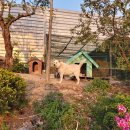 청암가든 이미지