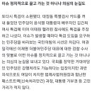 ‘또’… 이태원 참사에 소환된 특검, 민주당의 속내는 [이태원 핼러윈 참사] 이미지