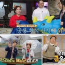 금송아지 이미지