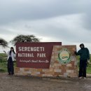 투포인츠 | 아프리카 탄자니아 리마인드 신혼여행 7박 10일 Day3 현지 업체 사파리투어 시작, 응고롱고로 게이트...