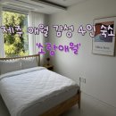 소랑애월 이미지