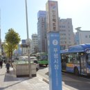 동선참치 이미지