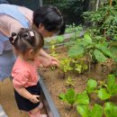 하늘채sky kids 어린이집 | 하늘채 엘센트로 어린이집 친구들 피자 만들기 세프님이 되었답니다.
