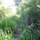 영창삼거리 이미지