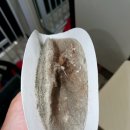 남양주 다산 러그 세탁 : 새로 클린에서 3m 카페트 세탁한 후기